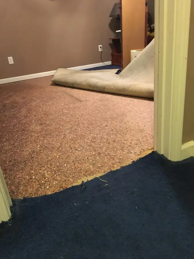Carpet pad removal revealing water damage during Drying & Dehumidification in Buckhead